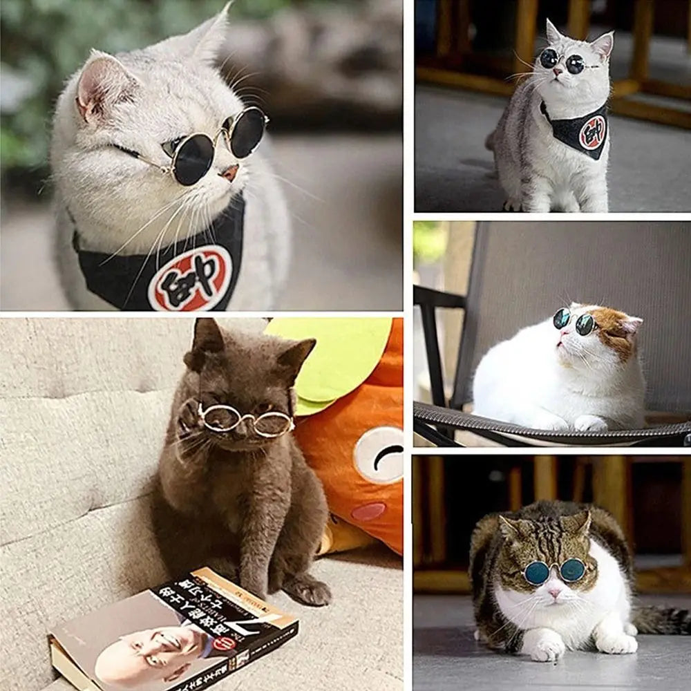 Funny Heart-Shaped Cat Dog Sunglasses Party Cosplay Costume Pet Glasses Photo Props Metal Sunglasses for Cats Small Dogs Dolls